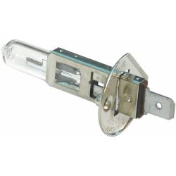 Halogen Bulbs