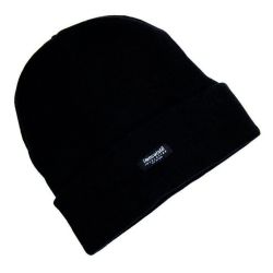 Thinsulate Hat