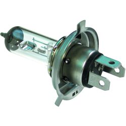 Halogen Bulbs