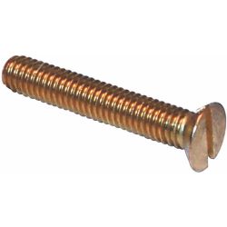 BA Screws - Slotted